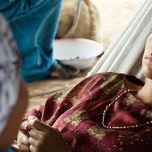 Foto Pássaros de Verão