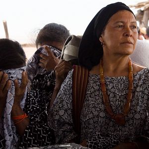 Foto Pássaros de Verão