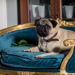 Foto Patrick: Aprendendo a Amar