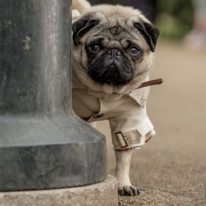 Foto Patrick: Aprendendo a Amar