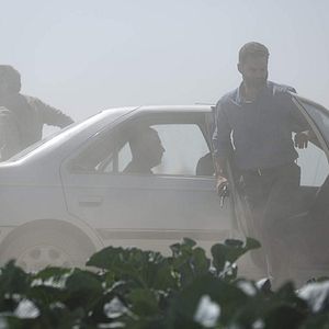 Foto Metri Shesh Va Nim