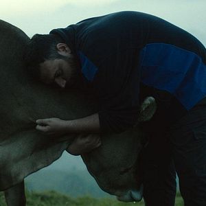 Foto Lessons of Love