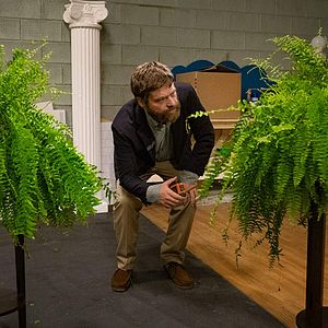 Foto Zach Galifianakis