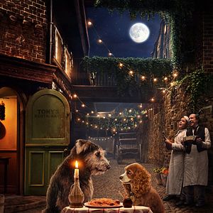 Foto A Dama e o Vagabundo