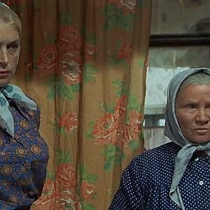 Foto Kalina krasnaya