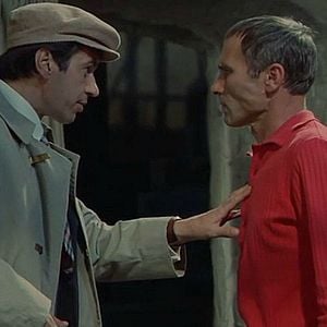 Foto Kalina krasnaya