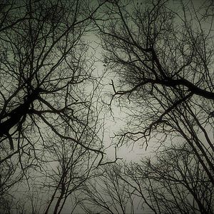 Foto Amytiville: A Estrada Assombrada