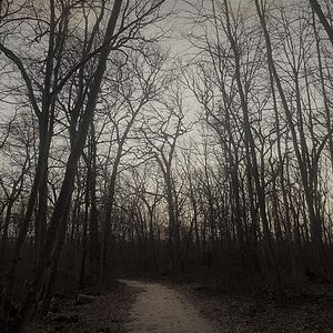 Foto Amytiville: A Estrada Assombrada