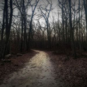 Foto Amytiville: A Estrada Assombrada