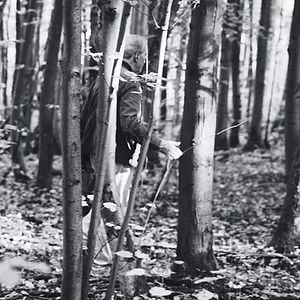 Foto Eight Hundred Times Lonely