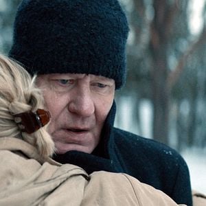 Foto Cavalos Roubados