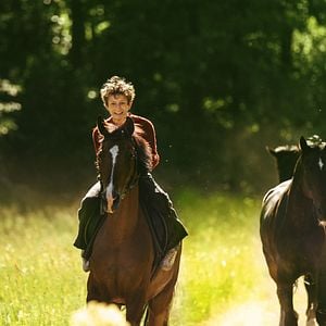 Foto Cavalos Roubados