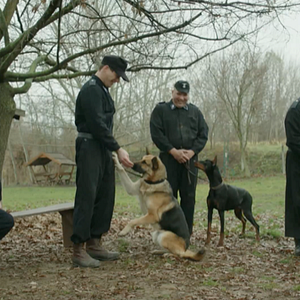 Foto A História de um Cachorro Judeu
