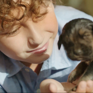 Foto A História de um Cachorro Judeu