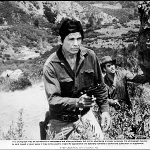 Foto Charles Bronson