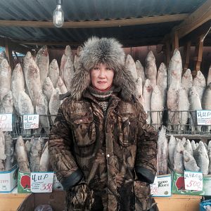 Foto The Strange Sound of Happiness