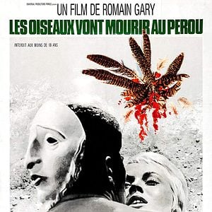 Foto Desejo Insaciável