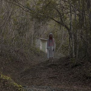 Foto Os Dias Sem Tereza