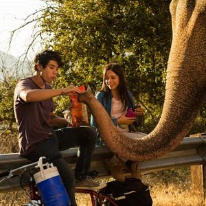 Foto Uma Grande Amizade