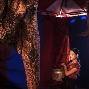 Foto Uma Grande Amizade