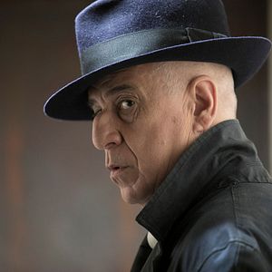 Foto 5 É o Número Perfeito