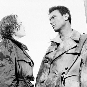 Foto Almas em Leilão