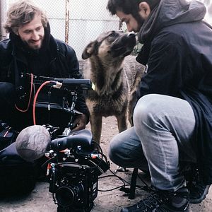 Foto Cães do Espaço