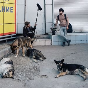 Foto Cães do Espaço
