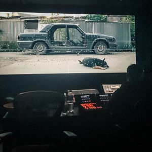 Foto Cães do Espaço