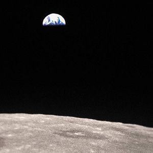 Foto Cães do Espaço