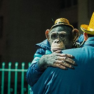 Foto Cães do Espaço