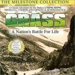 Foto Náufragos da Vida