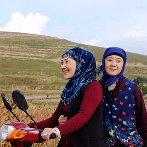 Foto Flores Vermelhas e Folhas Verdes