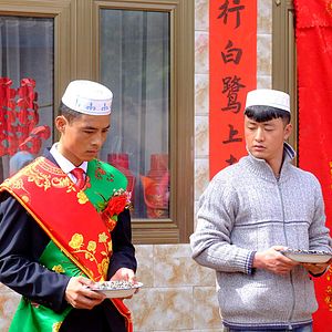 Foto Flores Vermelhas e Folhas Verdes