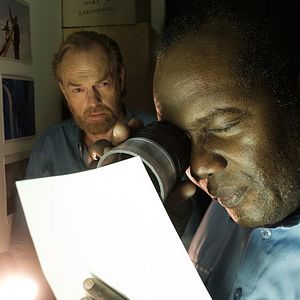 Foto Corações e Ossos