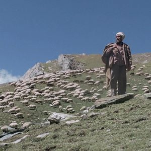 Foto As Ovelhas Douradas e a Montanha Sagrada