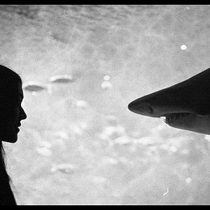 Foto Cartas para Paul Morrissey