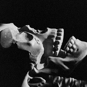 Foto Cartas para Paul Morrissey