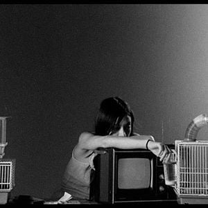 Foto Cartas para Paul Morrissey