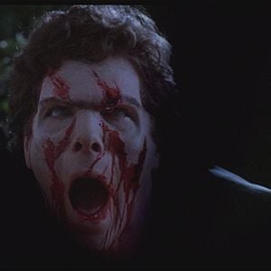 Foto A Noite dos Arrepios