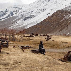 Foto PJ Harvey: Um Cão Chamado Dinheiro