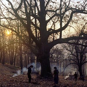 Foto Histórias do Bosque de Castanhas