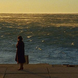 Foto Histórias do Bosque de Castanhas