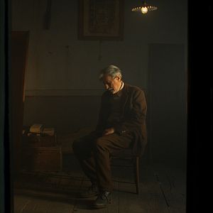 Foto Histórias do Bosque de Castanhas