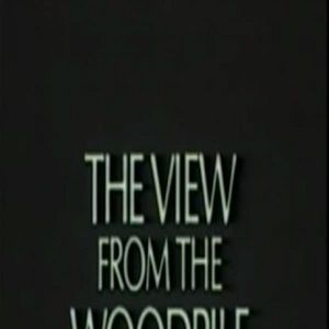 Foto The View from the Woodpile