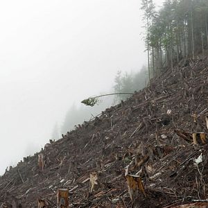 Foto Anthropocene: The Human Epoch