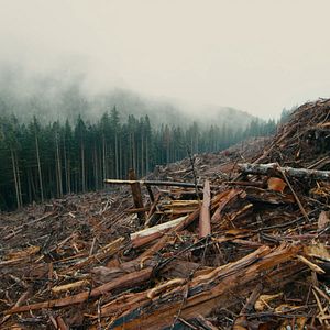 Foto Anthropocene: The Human Epoch