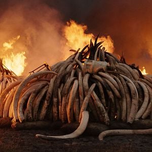 Foto Anthropocene: The Human Epoch