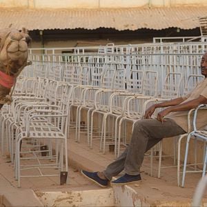 Foto Talking About Trees