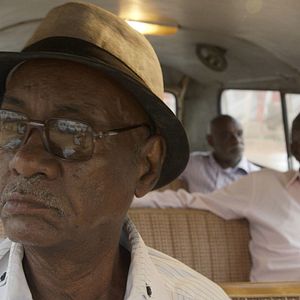 Foto Talking About Trees